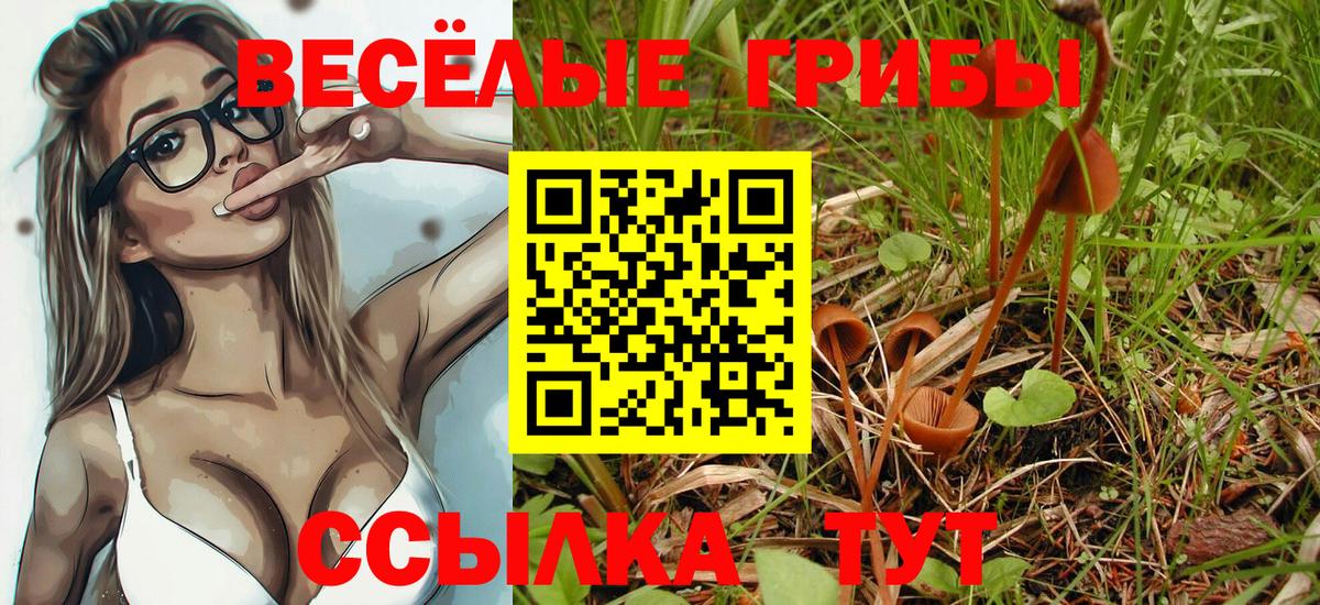 Галлюциногенные грибы Cubensis  Вход с VPN  Ефремов 